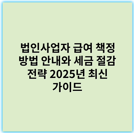 법인사업자 급여 책정 방법 안내와 세금 절감 전략 2025년 최신 가이드 - 책정 기준