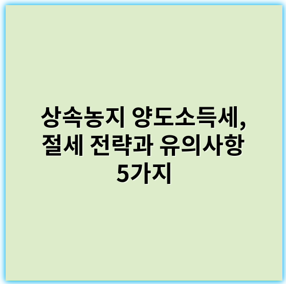 상속농지 양도소득세, 절세 전략과 유의사항 5가지 - 상속농지