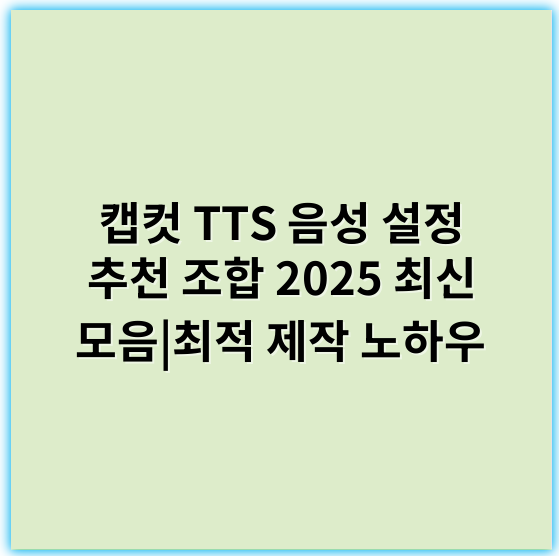 캡컷 TTS 음성 설정 추천 조합 2025 최신 모음|최적 제작 노하우 - 캡컷 TTS 음성 설정